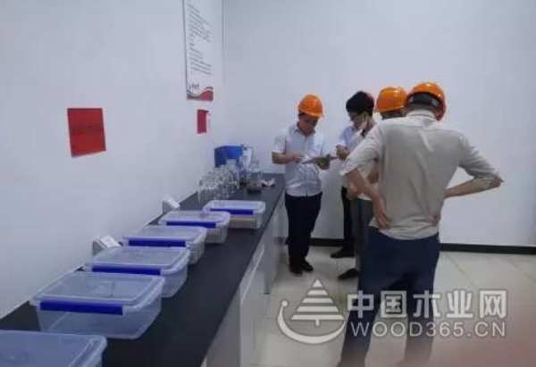 科林通过维尚家居验厂审核 成为其华东区首家战略供应商