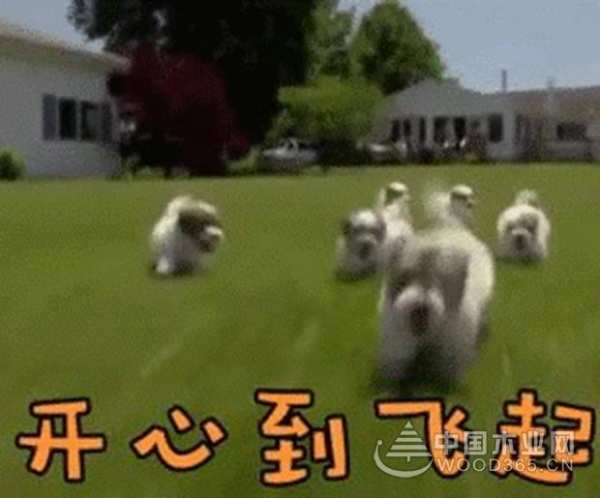新西兰智阁丨如何让衣柜从此无惧夏日高温？