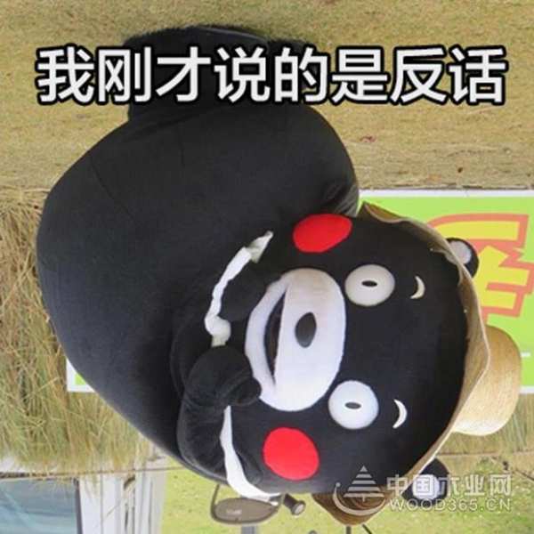 新西兰智阁丨如何让衣柜从此无惧夏日高温？