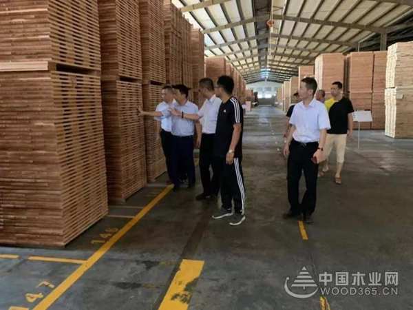聚焦突破，合和共赢——上海沪佳集团董事长李刚一行莅临莫干山参观指导