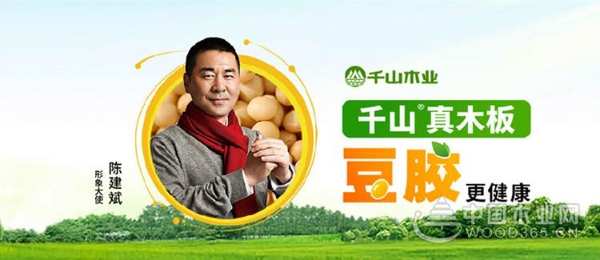 价格很美丽，千山大豆胶板材为爱家选择！