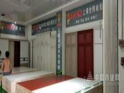 宝宝熊板材：直面行业痛点 打造品牌实力
