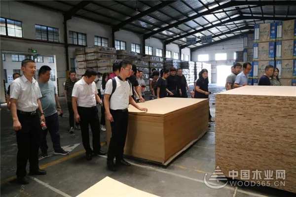 聚焦行业变革，共创品牌价值——豫晋建筑装饰协会领导携优秀装企到访莫干山