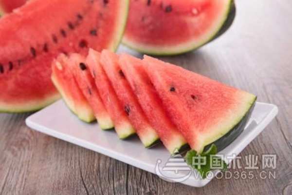融化的夏日，家里有它太令人赏心悦目了！！！