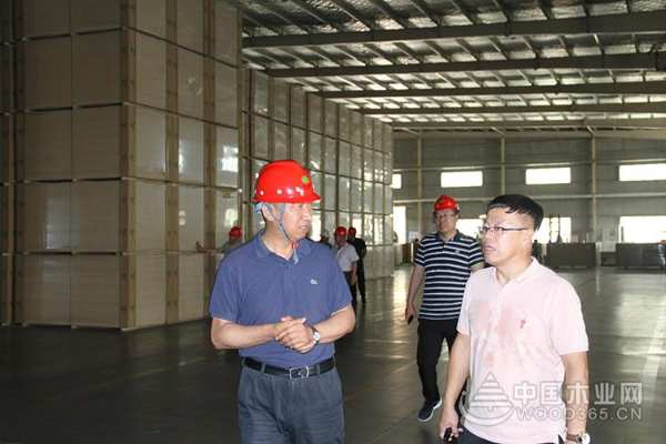 吉林森工人造板集团总经理一行到河南佳诺威木业参观交流