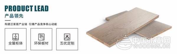 船老大：国际水准 领航产业