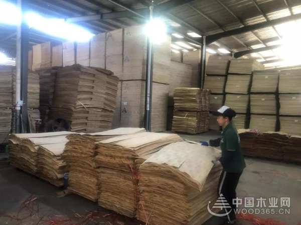 致敬一线|金利源最感动的人，不畏酷暑，奋战一线