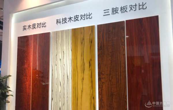 学习交流开阔眼界  桥牌永葆旺盛的生命力