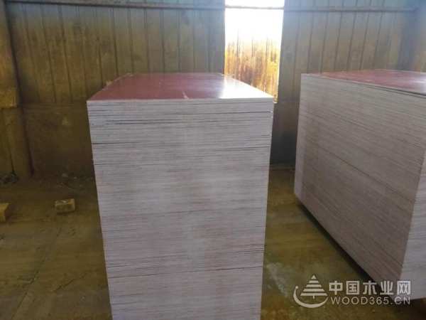 品质高、成本低 鹏森缘建筑模板深受市场认可