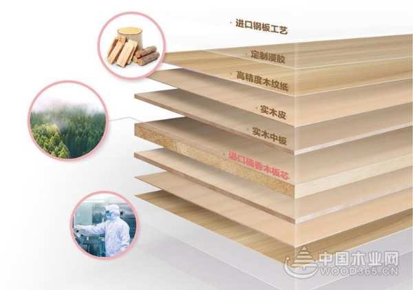 大王椰进口楠香木：千辛万苦寻好木，一切只为爱家的你