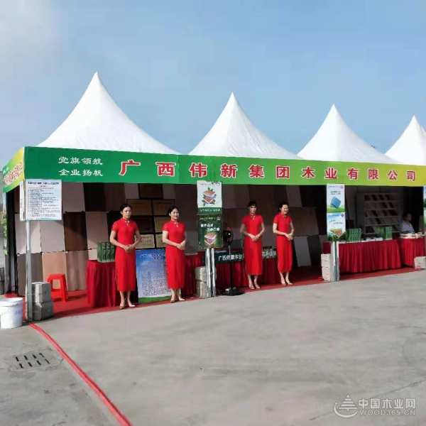 广西伟新集团亮相当地产业推介会  多渠道发展实现企业新腾飞