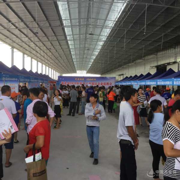广西伟新集团亮相当地产业推介会  多渠道发展实现企业新腾飞