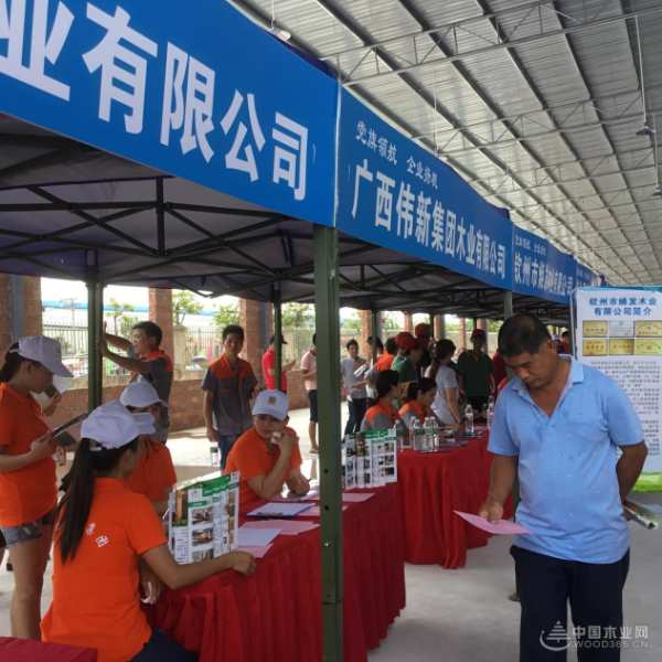广西伟新集团亮相当地产业推介会  多渠道发展实现企业新腾飞