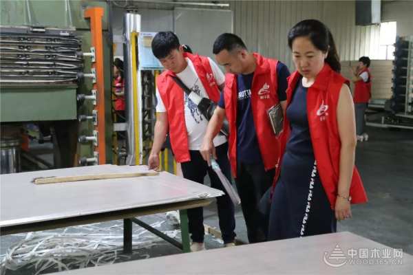 凝心聚力齐发力丨莫干山板材黑吉辽豫冀五省经销商参观记