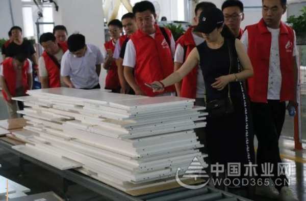 凝心聚力齐发力丨莫干山板材黑吉辽豫冀五省经销商参观记