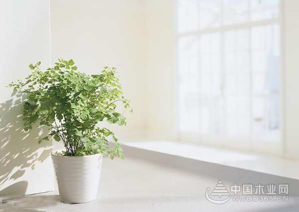 全心爱，放心爱！来自莫干山三层实木复合地板的实力守护