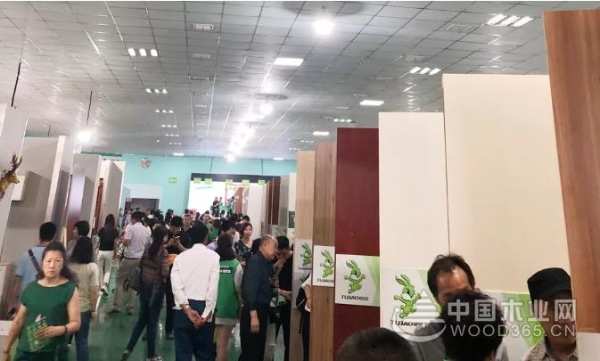 兔宝宝环保行苏州站放纵一夏，感恩来袭！