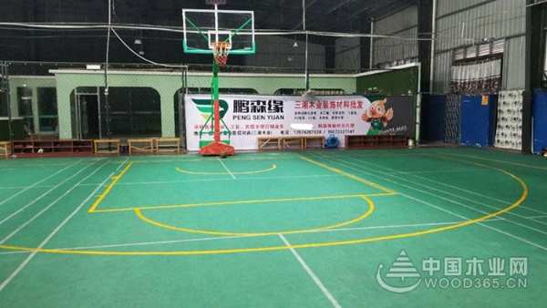 鹏森缘全力赞助醴陵冠军城 “奥园杯”篮球比赛