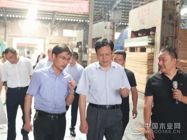 “永立潮头，行稳致远”——临沂市政协主席徐涛莅临千山视察