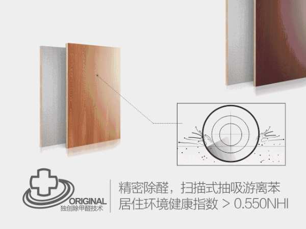 自主制造、环保、创新……给你爱上大王椰的十个理由！