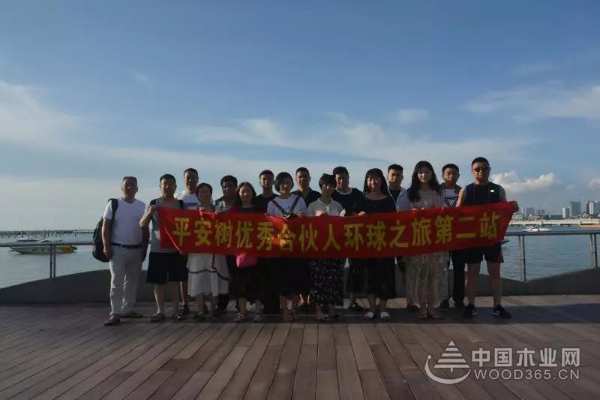 他乡风情·“泰”多留念｜平安树优秀合伙人环球之旅第二站圆满结束！