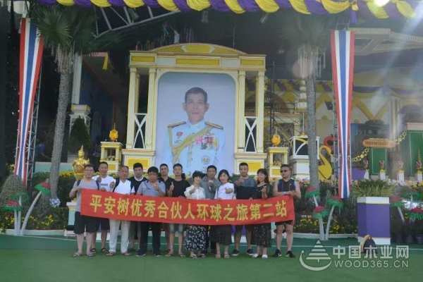 他乡风情·“泰”多留念｜平安树优秀合伙人环球之旅第二站圆满结束！