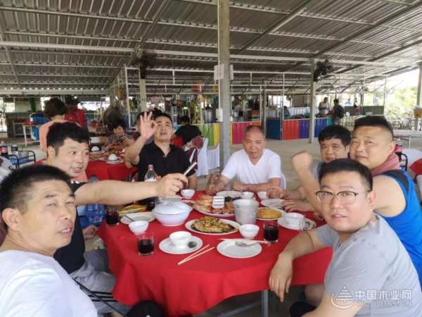 他乡风情·“泰”多留念｜平安树优秀合伙人环球之旅第二站圆满结束！