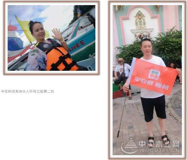他乡风情·“泰”多留念｜平安树优秀合伙人环球之旅第二站圆满结束！