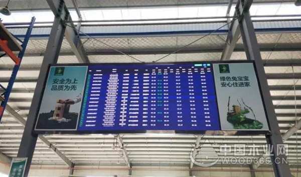 连线2019未来人居大会，兔宝宝让家更好