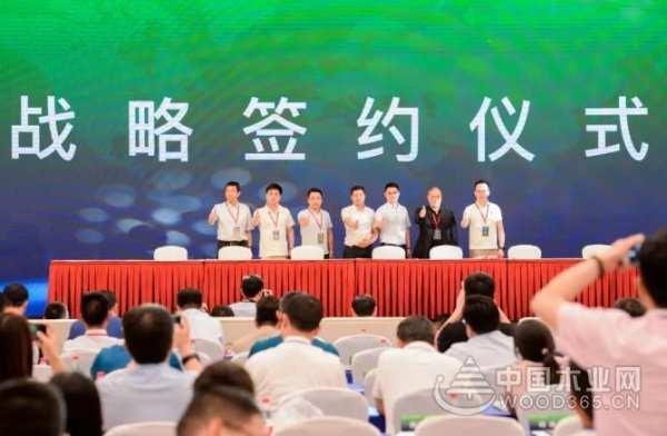 连线2019未来人居大会，兔宝宝让家更好
