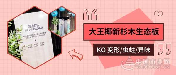 一“板”搞定消费三大痛点，大王椰新杉木生态板震撼上市