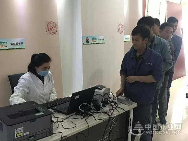 是什么让千山木业发展壮大，走过20载！