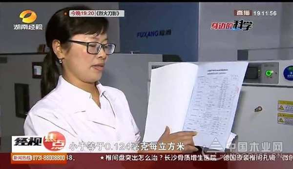 2019年度中国林产工业协会胶合板专委会理事长会议暨走进福湘集团活动圆满成功！