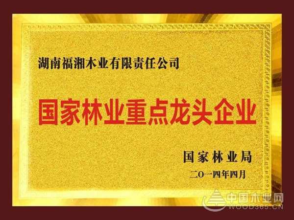 2019年度中国林产工业协会胶合板专委会理事长会议暨走进福湘集团活动圆满成功！