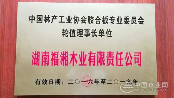 2019年度中国林产工业协会胶合板专委会理事长会议暨走进福湘集团活动圆满成功！