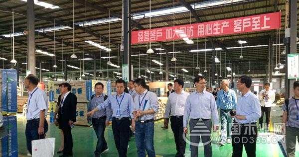 共论行业前景 2019年度胶合板专委会理事长会议走进福湘集团