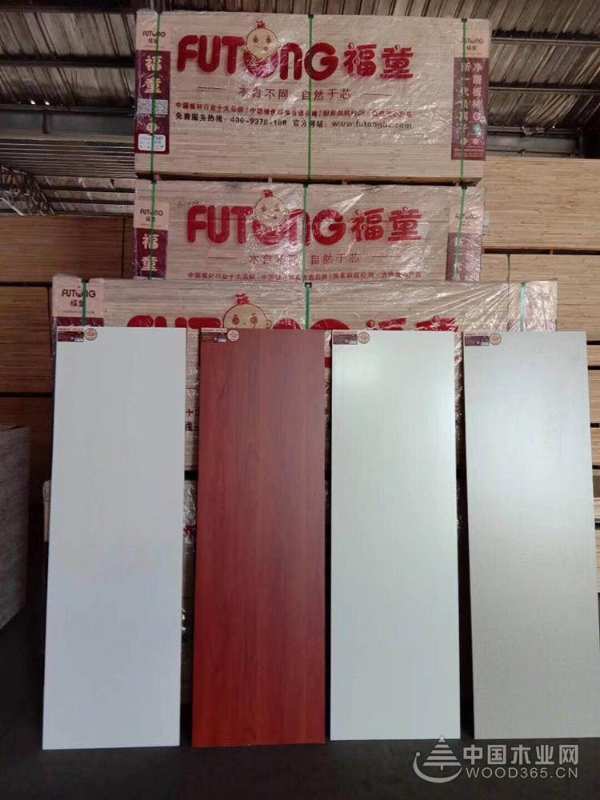 签约著名影视演员陈美行 福童板材品牌再升级！