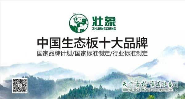 贡献突出 广西壮象再获表彰