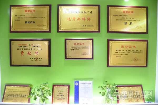 携手“赵政委”何政军 桥牌再度亮剑