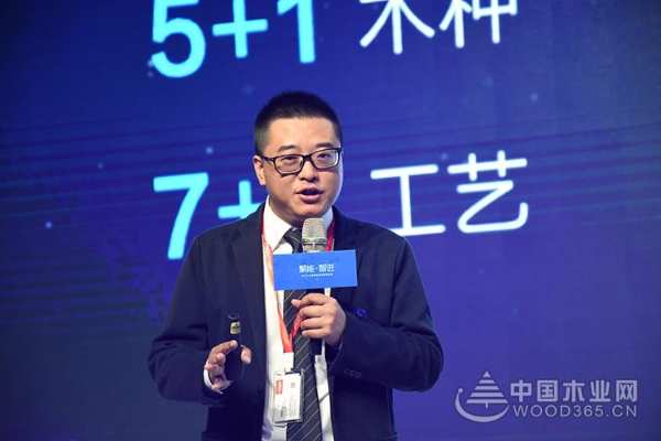 创新领路，聚势赋能，2019大王椰新品隆重上市！