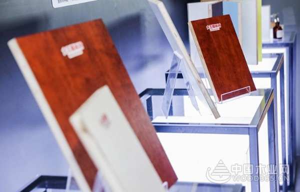创新领路，聚势赋能，2019大王椰新品隆重上市！