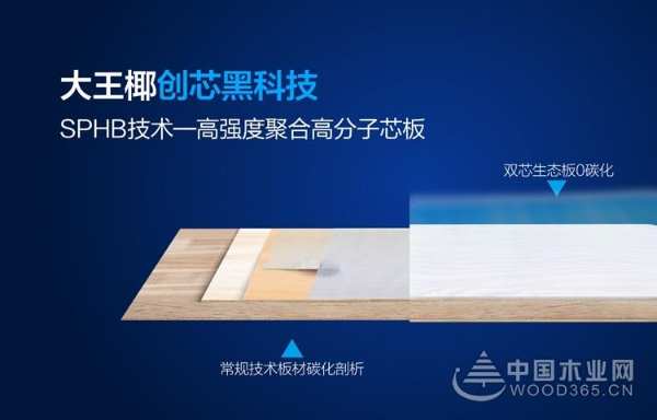 创新领路，聚势赋能，2019大王椰新品隆重上市！