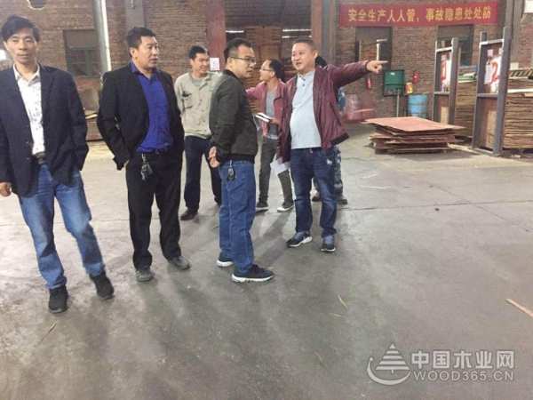 鹏森缘全面开展节前安全检查，积极落实隐患整改！