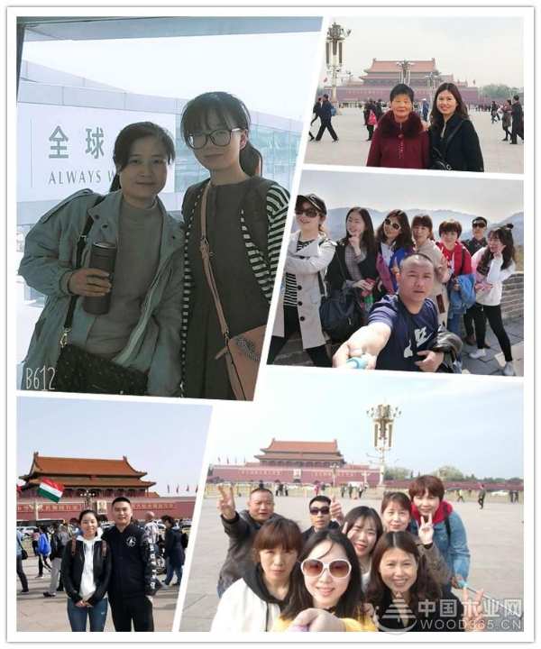 智阁板材丨2019精英团队北京游圆满结束