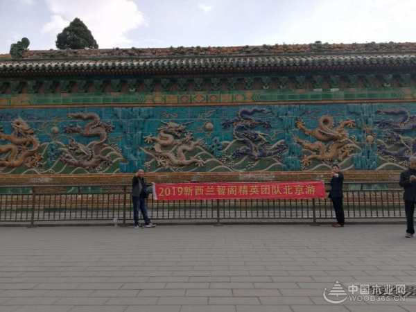 智阁板材丨2019精英团队北京游圆满结束