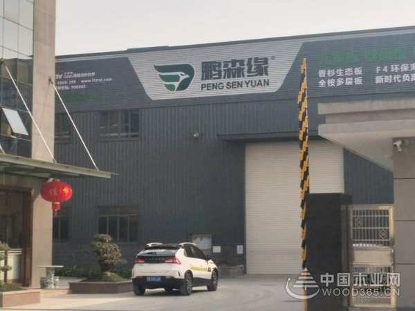 鹏森缘布局荆楚 启动高端市场战略