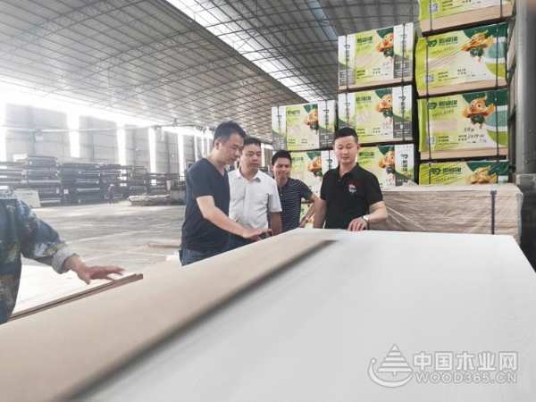 鹏森缘布局荆楚 启动高端市场战略