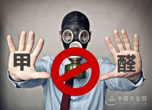 进击“无醛时代”！大王椰2019新品战略发布会即将火热开启