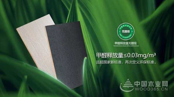 进击“无醛时代”！大王椰2019新品战略发布会即将火热开启