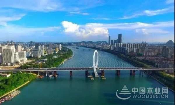 三月春雨美如画，满城紫荆醉龙城 ——鹏森缘向您发出诚挚邀请！